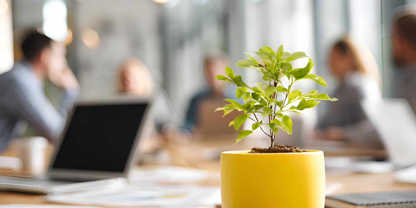 Das Bild zeigt eine junge Pflanze auf einem Schreibtisch in einer modernen Arbeitsumgebung. Es steht sinnbildlich für Wachstum, Zukunftssicherheit und nachhaltige Entwicklung – Werte, die Glasfaser als moderne Infrastruktur für Unternehmen und Arbeitswelten unterstützt.