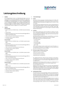 Leistungsbeschreibung