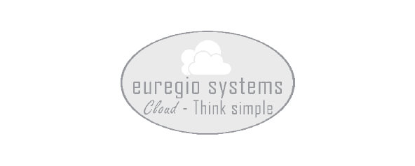 Logo Vertriebspartner Euregio Systems